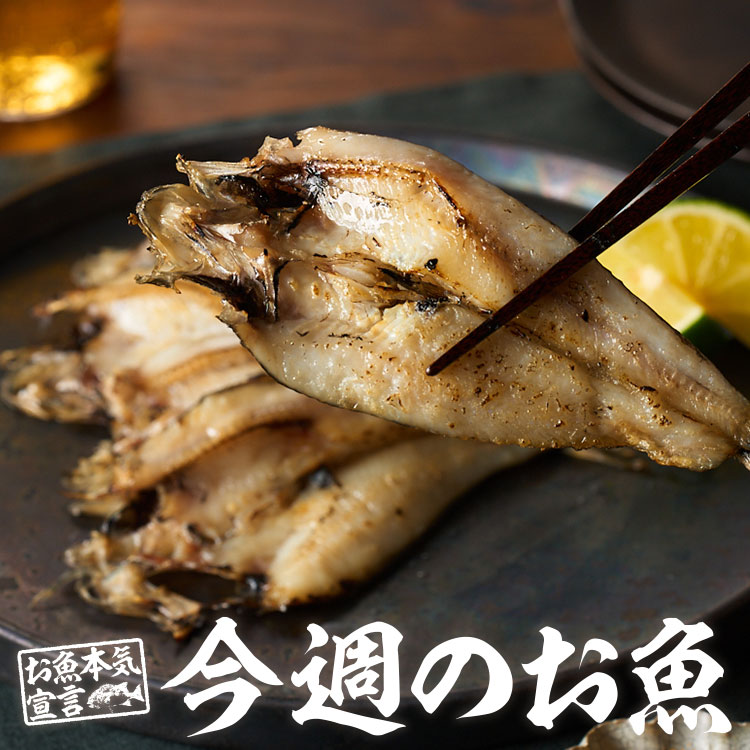 魚特集（7/9更新）｜ISETAN DOOR