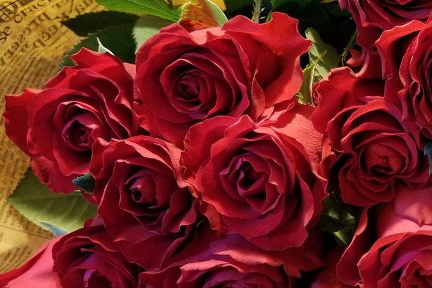 赤いバラの花束(アメリカ)