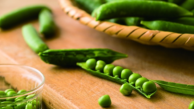 �O���[���s�[�X