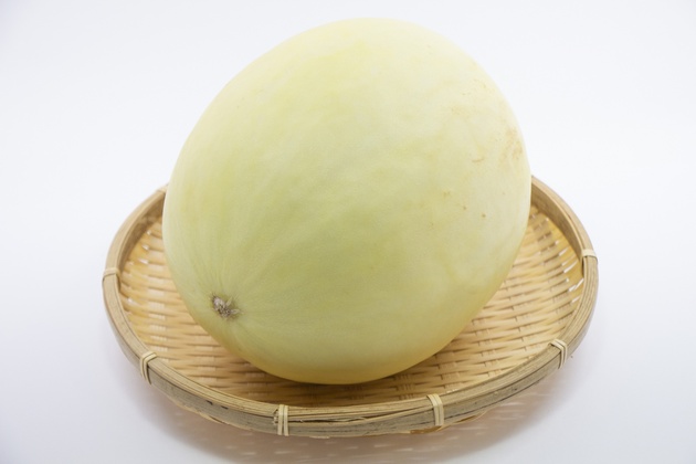 �m�[�l�b�g������