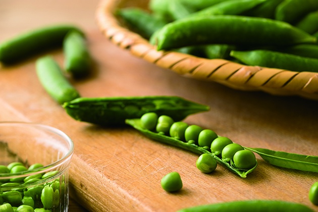 �O���[���s�[�X