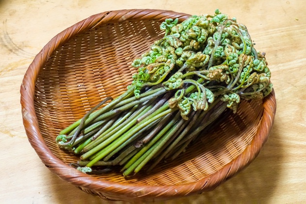 わらび・ぜんまい