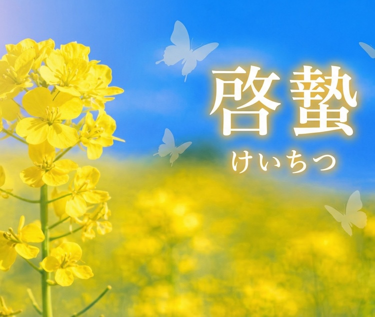 �[孁i�������j�Ƃ́H2026�N�͂��H�Ӗ��E�{�̐H�ށE�߂������K�C�h