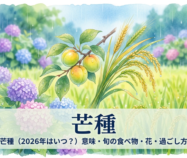 䊎�i2026�N�͂��H�j�Ӗ��E�{�̐H�ו��E�ԁE�߂�����