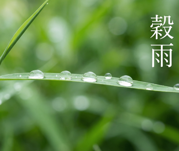 ���J(������)�̎����ɐH�ׂ����{�̖��o�B�������ߐH�ނƑ��蕨�K�C�h