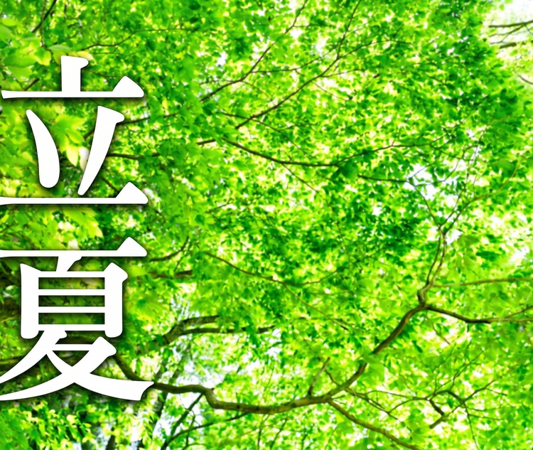 ���ĂƂ́H2026�N�͂��H�Ӗ��E�{�̐H�ו��E�߂������܂Ƃ�