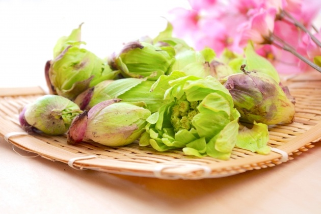 �ӂ��̂Ƃ��ƍ�