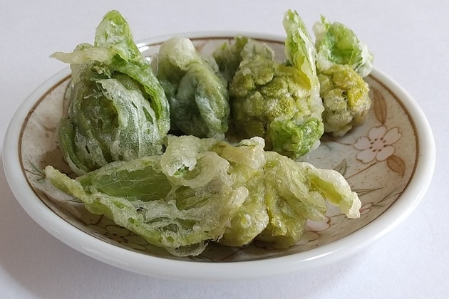 �ӂ��̂Ƃ��̓V�Ղ�