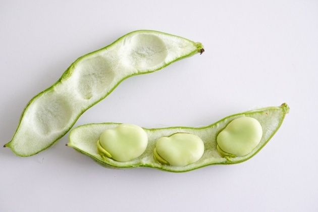 ������J�������瓤