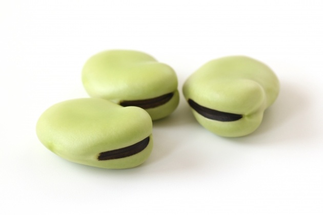 ���₩��o�������瓤