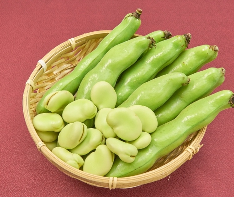 ���瓤�̐H�ו��K�C�h�b���������猫���Ⓚ�ۑ��܂�