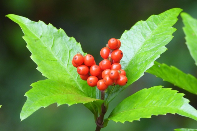 �痼�E����