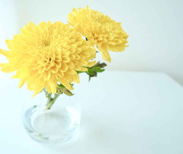 �d�z�̐ߋ� �i�e�̐ߋ�j�Ƃ́H�`���I�ȏK�킵��s���H�����