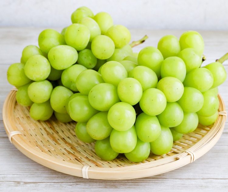 �V���C���}�X�J�b�g�̏{�͂��H �������������ƐH�׍������