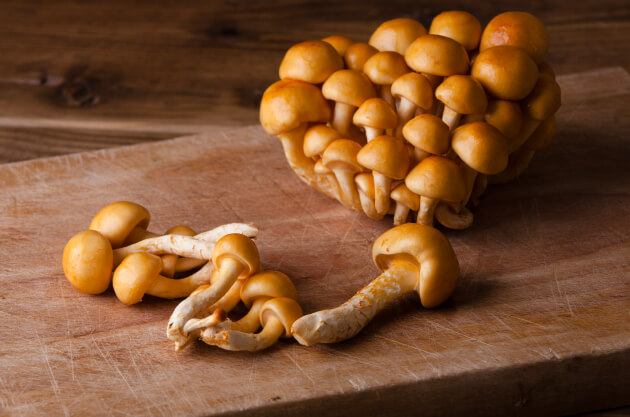 �����Ȃ߂��i���쌧�Y ��򂳂񑼁j