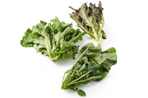 ���[�t���^�X�ƃ��b�R���̃T���_�Z�b�g