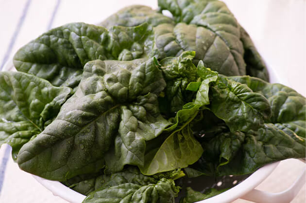 �T���_�ق���񑐁i�a�̎R���Y�j