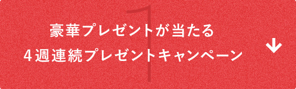 �i�r_�v���[���g�L�����y�[��