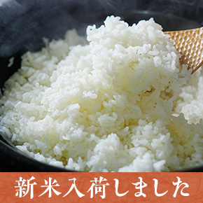 wateishoku