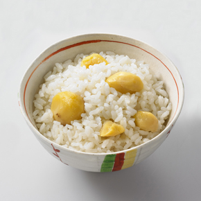 akigurume