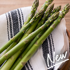 ��؂ƃt���[�c