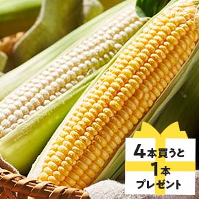 野菜とフルーツ