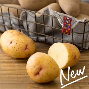 ��؂ƃt���[�c