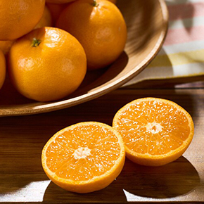 ��؂ƃt���[�c