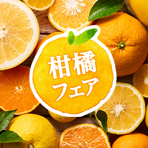 ��؂ƃt���[�c