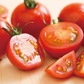 ��؂ƃt���[�c