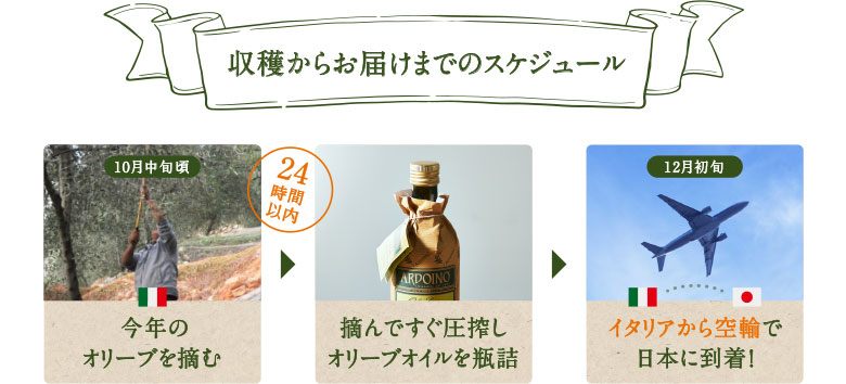 オリーブオイル