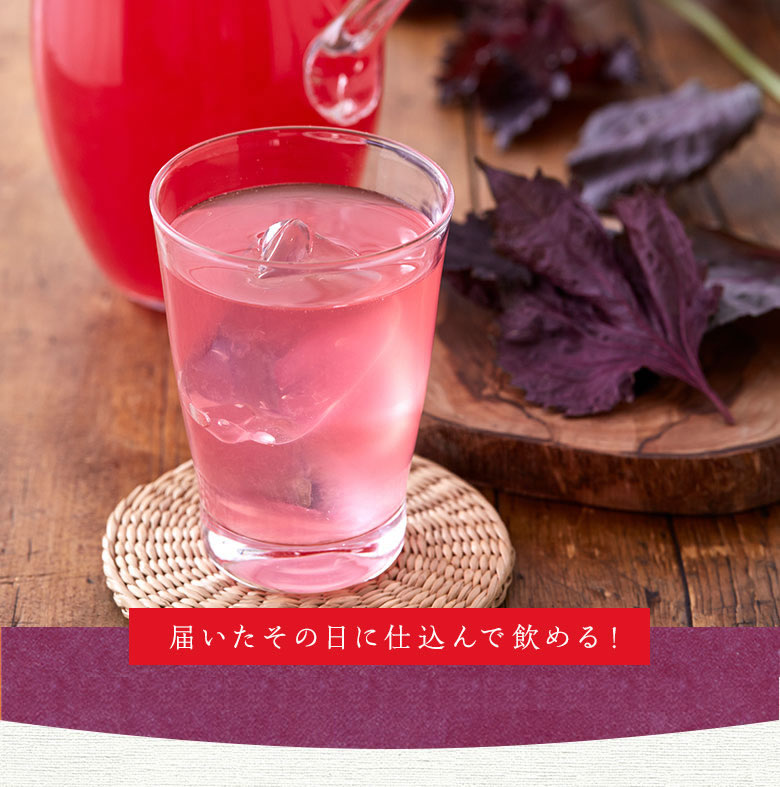 lead情報