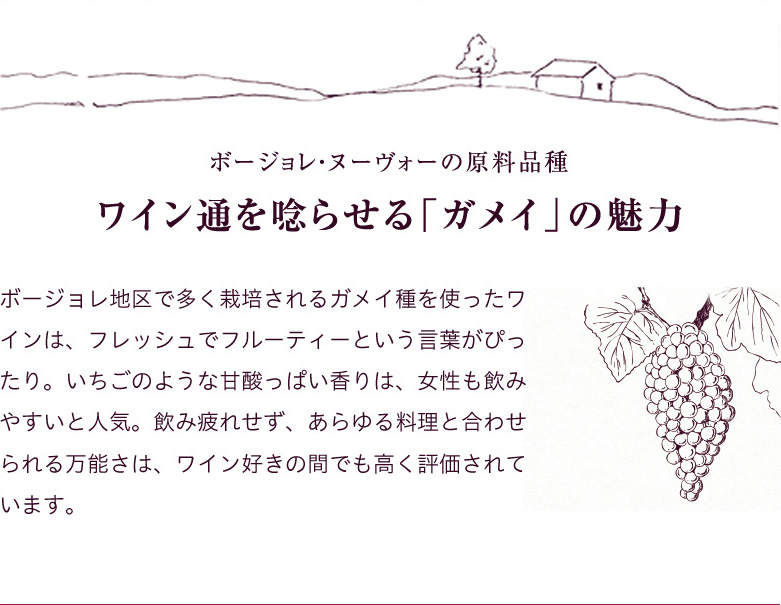 ガメイの魅力