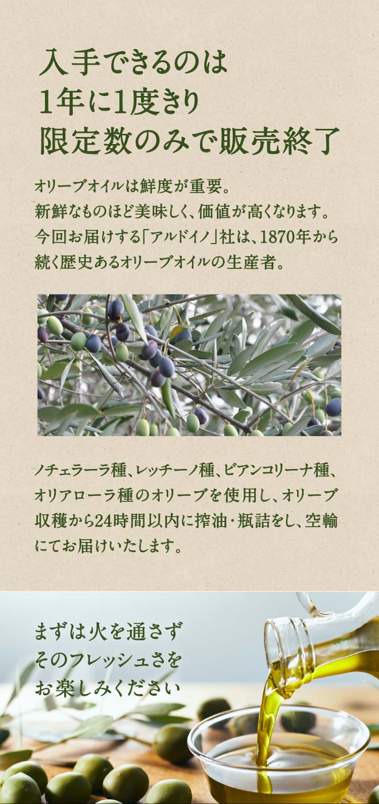へそのごま オリーブオイル へそのごま オリーブオイル