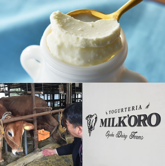 話題の熟成ヨーグルト ミルコロ そのリッチな味わいの秘密に迫る Isetan Door 商店街