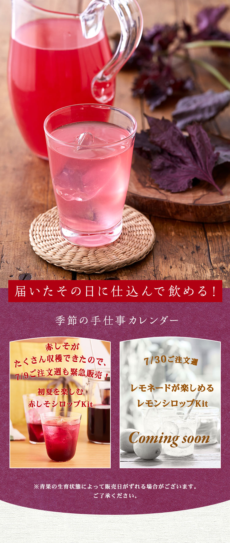 【奥久慈産】赤しそシロップ　300ml×10本　✴️農薬不使用です 奥久慈産】赤しそシロップ 300ml×3本 ✴️農薬不使用です - メルカリ