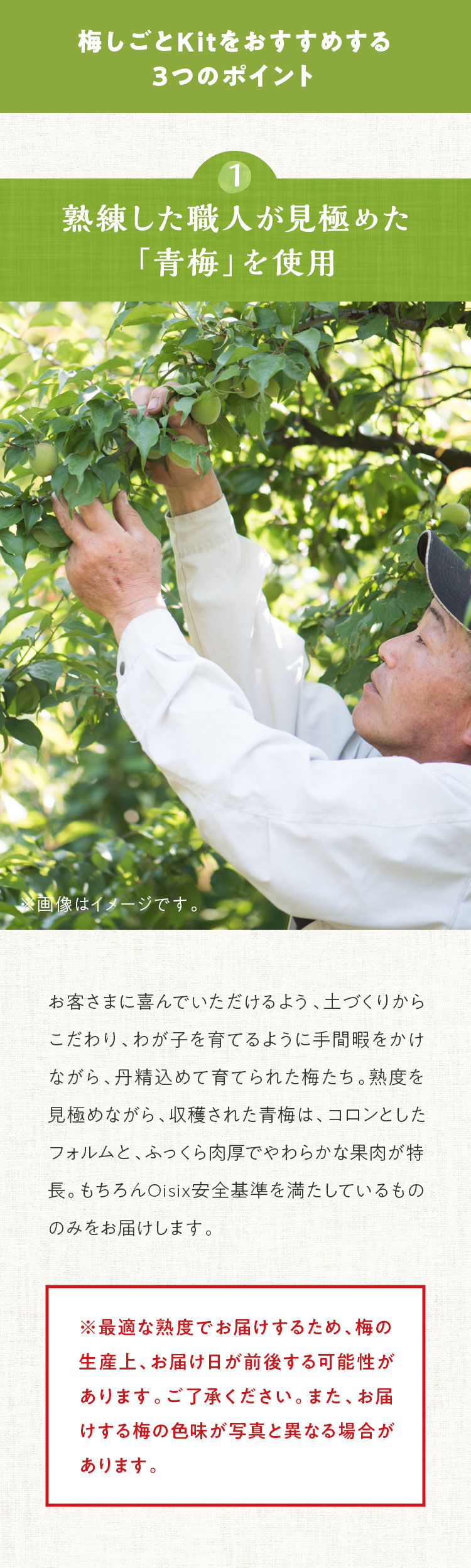 梅しごと｜ISETAN DOOR