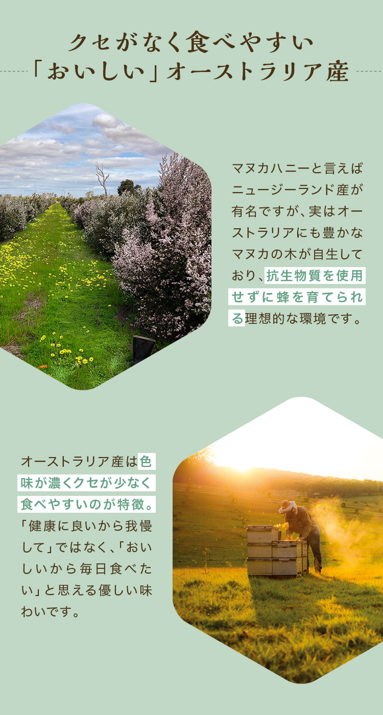予約商品｜ISETAN DOOR