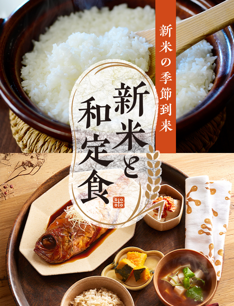 南水 良い子 10キロストックどうぞ ○先行販売 南水 ご家庭用