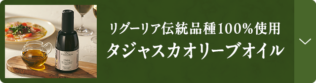 �G�L�X�g���o�[�W���I�C��