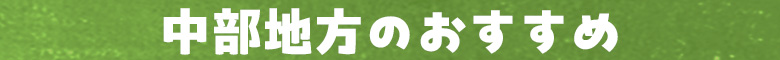 n̂