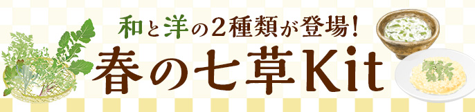 �t�̎���Kit