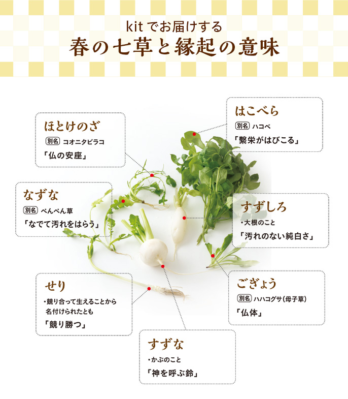 [Kit]�P�N�̌��N���F��I���˓��莵����