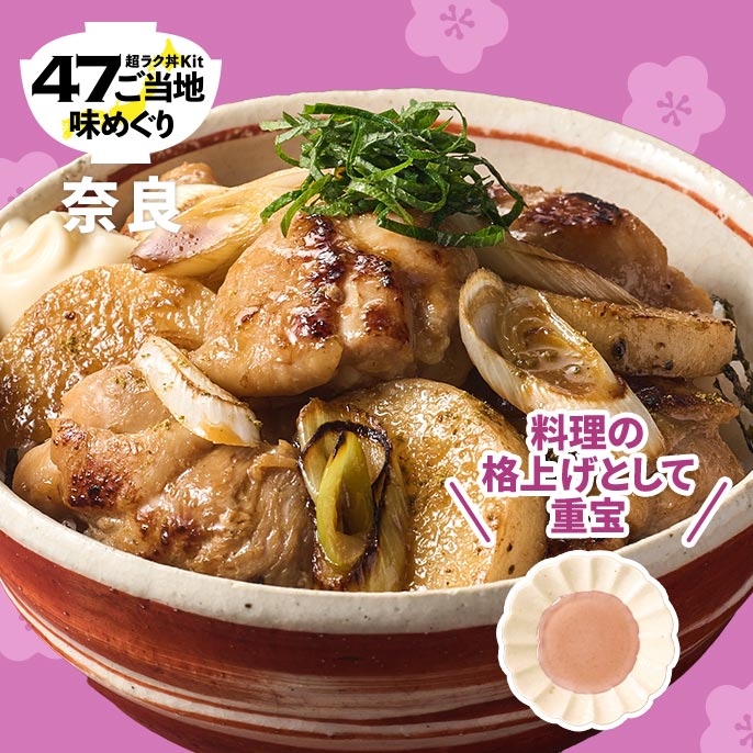 Kit2�l�O�^�Ós�̔~�|���B�����B�����ݖ��̌{�}����