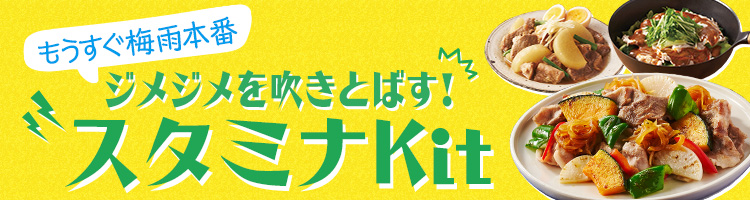 �X�^�~�iKit