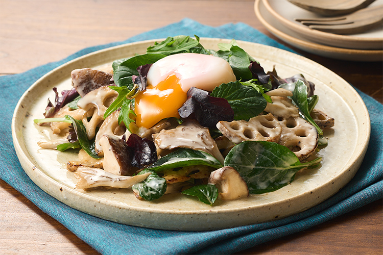 [Kit]����V�F�t�̘@��������V�[�U�[�T���_