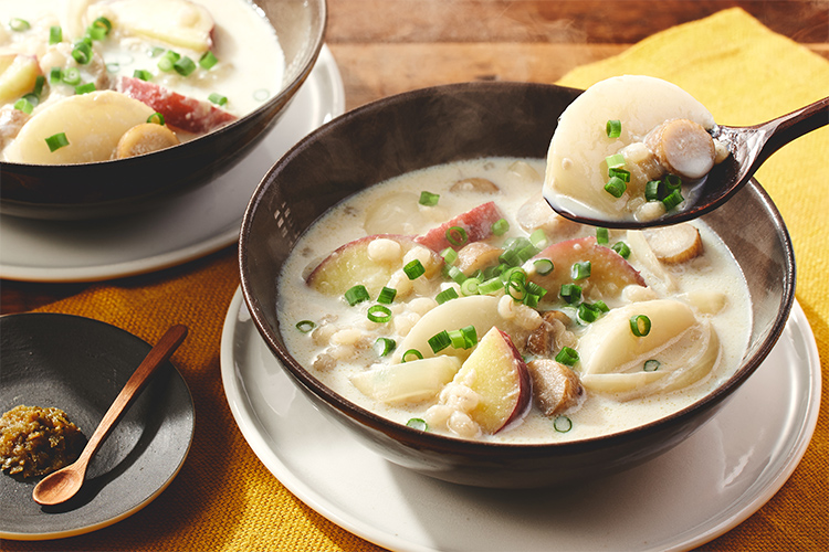 Kit2lO^[PlantOisix]MqӞYX[v