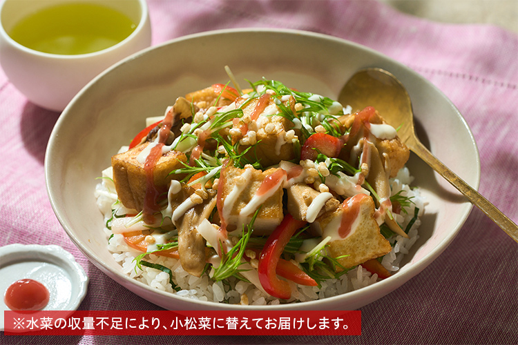 Kit2�l�O�^[PlantOisix]7��H�ނ̏t�߂��ʃx�W���炵