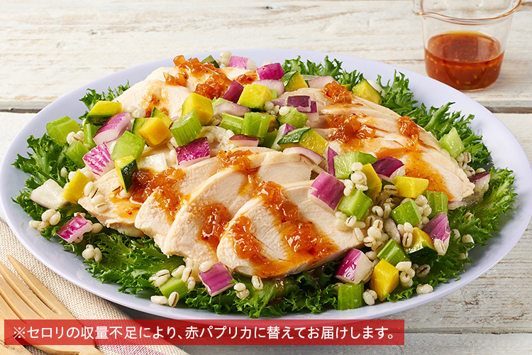 [Kit]���ؕ��`�L���ƃ`���b�v�h�T���_