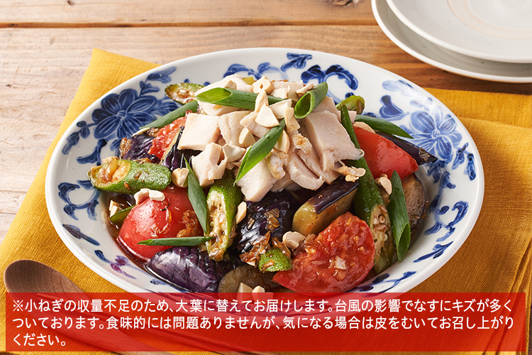 Kit]蒸し鶏となすの中華風おかずデリ|ISETAN DOOR